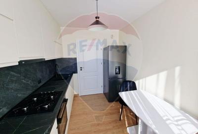 Apartament cu 2 camere de inchiriat Cartierul Tei - 10