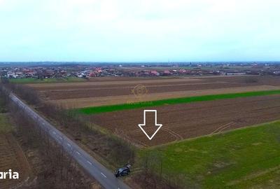 Teren de 4300 mp, în Odoreu - 5
