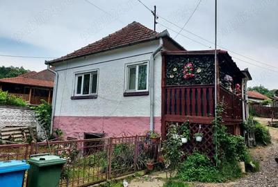 Casa renovata cu teren 7000mp la 19 km de Deva Sat Nojag, Hunedoara - 2