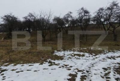 Teren de 1268 mp, în Mihai Viteazu - 2