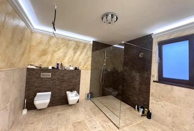 Dumbravita, Casa Individuala, Teren 700 MP - 3