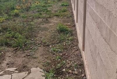 Teren de 1200 mp, în Valu lui Traian - 2