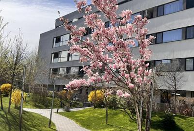 Apartament cu 2 camere decomandat în Străulești - 13