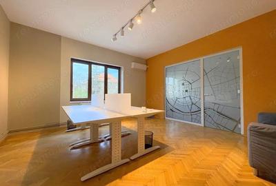 Spatiu birouri zona Centrala - Take Ionescu - 11