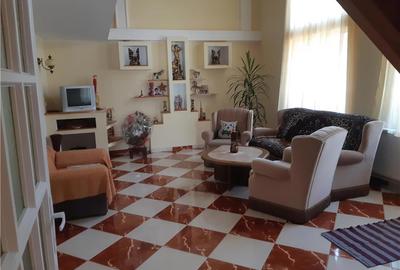 Casă cu 11 camere în Nucet - 8