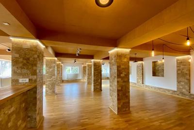 Spatiu comercial, stradal, de inchiriat - 3