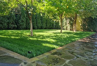 Casă cu 5 camere cu Teren 4000 Mp în Pantelimon - 5