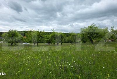 Teren de 900 mp, în Unirea - 8