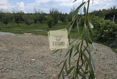 Teren de 666 mp, în Daia - 1