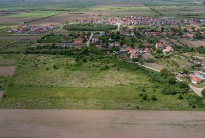 Teren extravilan Urseni, Timiș - 2