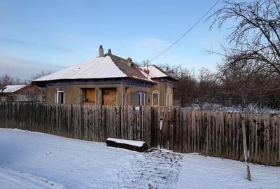 Casă cu 3 camere cu Teren 1179 Mp în Fierbinți-Târg - 11