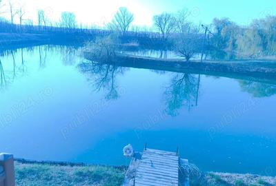 Casă cu Teren 15136 Mp în Central - 10