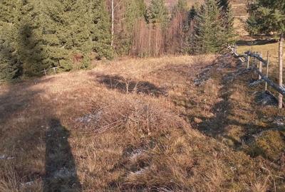 Teren de 10000 mp, în Arieșeni - 4