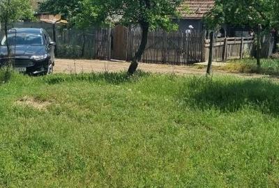 Spațiu comercial, în Ileana - 1