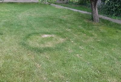 Casă cu 6 camere cu Teren 3000 Mp în Grădiștea - 9