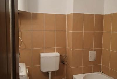 Apartament cu 2 camere în Paleu - 2