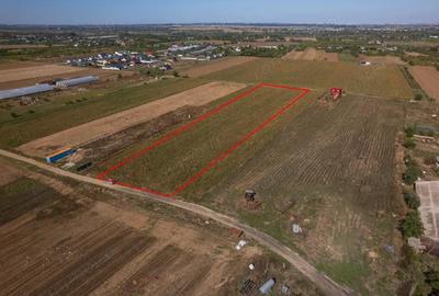 Adunatii Copaceni - Troitei | teren 6 525 mp | zona in dezvoltare - 8