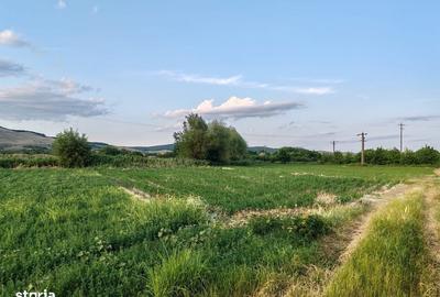 Teren de 1100 mp, în Ighiu - 4