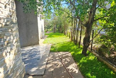 Duplex cu 9 camere cu Canalizare în Albert - 52