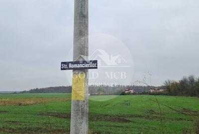 Teren Branesti -Romancierilor - 7