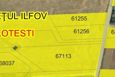 Balotesti  Lacul vlasia 3300mp 18900euro - 1