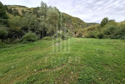 Teren Intravilan de Vanzare 3622 mp Rau Sadului - 3