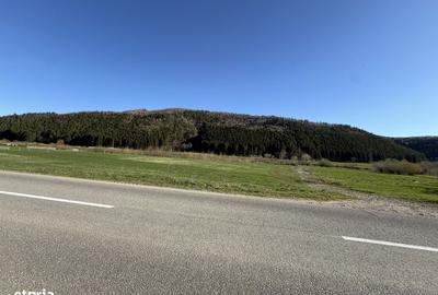 Spațiu comercial, în Plaiul Foii - 6