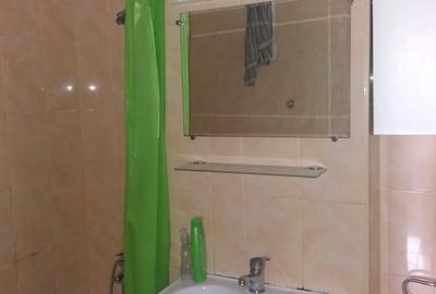 Dristor ,Camil Ressu, Park Lake - 7