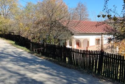 Casă cu 3 camere cu Teren 2450 Mp în Central - 7