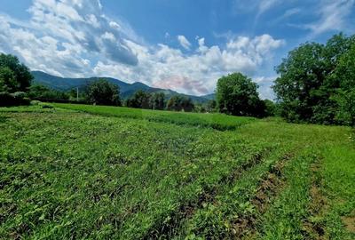 Teren intravilan 1000 mp - Viisoara, utilitati - 18