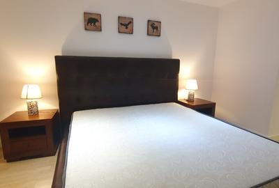 Apartament cu 2 camere decomandat, mobilat în Iancu Nicolae - 31