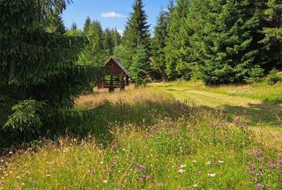 Spațiu comercial, în Călățele - 2