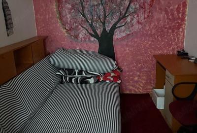 Apartament cu 2 camere semidecomandat în Central - 1