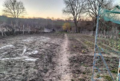 Casă cu 3 camere în Hărănglab - 4