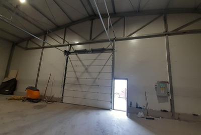 Hala noua in zona Gara Catelu, Drumul Intre Tarlale - 4