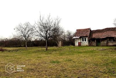 Teren Construcții intravilan de 2880 mp, în Șiria - 7