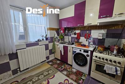 Casa cu etaj si mansarda, 7.200 mp teren, in comuna Probota - 8