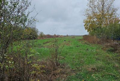 Butimanu (Decindea) Jud. Dambovita, teren intravilan si extravilan - 2