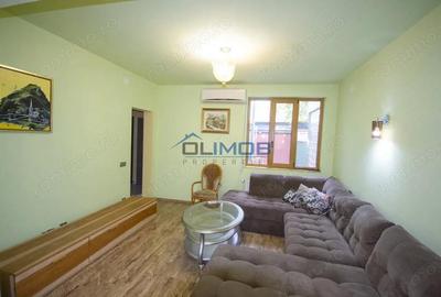 Inchiriere vila cu personalitate zona Tudor Vladimirescu - 6