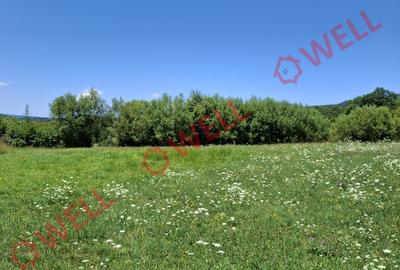 De vânzare teren intravilan de 7600 m² în Sovata, pe strada Alunei (Mogyoró). - 6