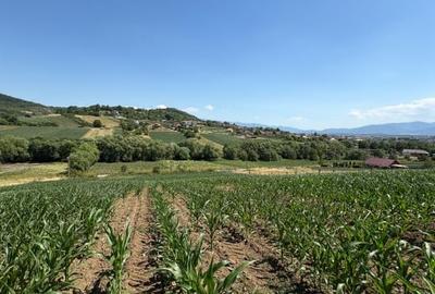 Teren intravilan de vanzare | 1000 mp | zona Gusterita - 1