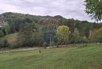 Teren cu priveliste spectaculoasa, 4000mp, la 18km de Sinaia Teren cu priveliste spectaculoasa, 4000mp, la 18km de Sinaia - 10