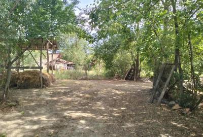 Teren de 4975 mp, în Belciug - 6