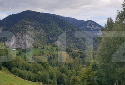 Teren 13.570 mp, Moieciu Pestera - 2