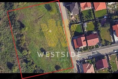 Teren de vanzare calea Lugojului - 2