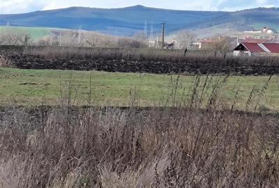 Teren intravilan de vanzare,70 ari cu utilitati la poarta - 4