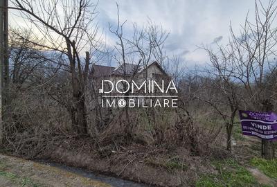 Teren agricol intravilan de 6292 mp, în Preajba Mare - 8