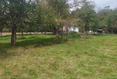 Teren 15826 mp + padure 1 ha - 11