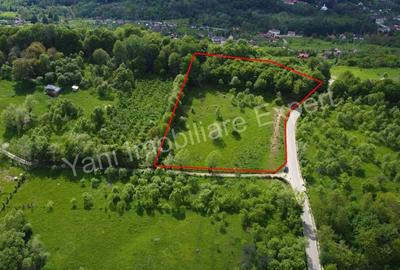 Teren de 8387 mp, în Corbi - 4