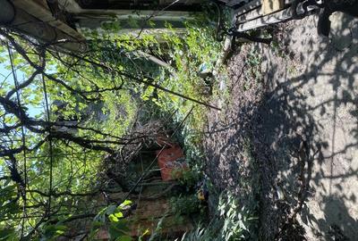 Teren de 400 mp, în Bucureștii Noi - 3